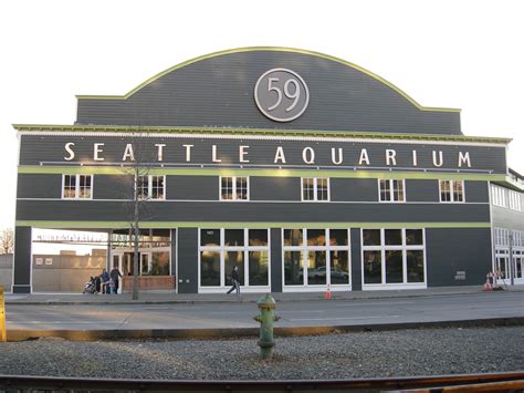 Seattle aquarium - Seattle Aquarium. Attractions Downtown Seattle. Discover the underwater world of the Pacific Northwest and beyond. Stunning waterfront setting and beautiful private evening events. Address 1483 Alaskan Way, Pier 59, Seattle, WA 98101. Phone (206)386-4300. Connect. 